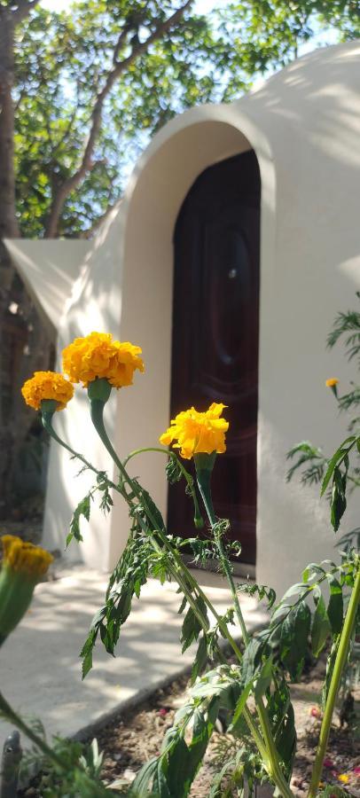 Done Right Hostel Phumi Chrouy Svay Exterior foto